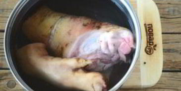 холодец из рульки свиной