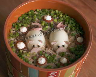 Холодец Поросята