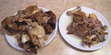 холодец, просто холодец