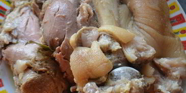 холодец солнечный цветок