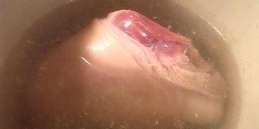 нежный холодец