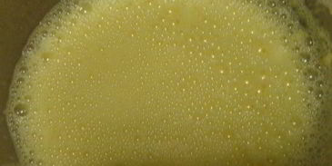 омлет бельгийский