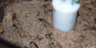 паштет из куриной печени с грибами