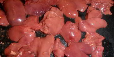 паштет из печени