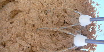 паштет из свиной печени