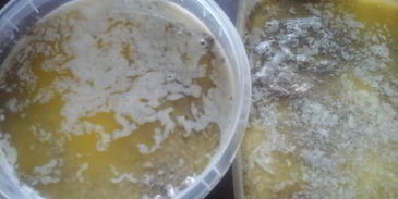 паштет из утиных потрошков