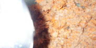 желированный паштет с сыром