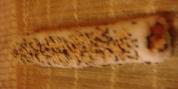 роллы ассорти