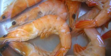 роллы с креветками домашние