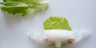 спринг-роллы с кальмарами и тунцом