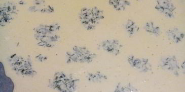 пятнистый куриный рулетик