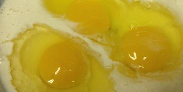 рулет из омлета с курицей и сыром