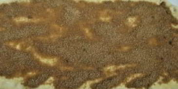 рулет с изюмом из дрожжевого теста