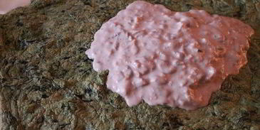 шпинатный рулет с грибной начинкой