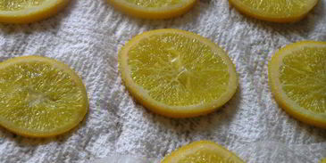 цитрусовый бисквитный рулет