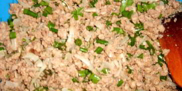 самса по-казахски