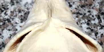 самса слоеная с мясом