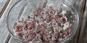 самса узбекская