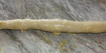 узбекская самса