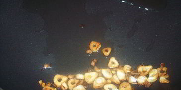 чесночно-лимонные сухарики для салатов