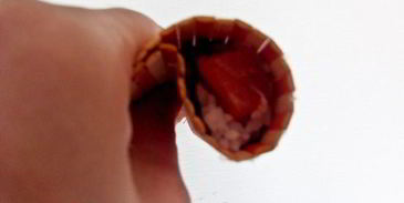 двойной суши-ролл инь-янь