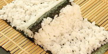 кадзари-суши божья коровка