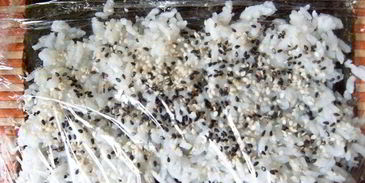 классический суши-ролл филадельфия