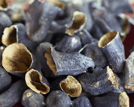 Сушеные баклажаны в электросушилке