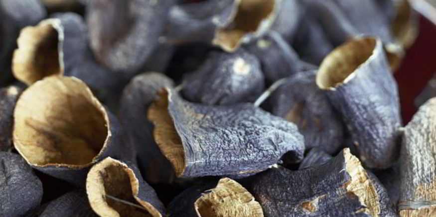 Рецепт сушеных баклажанов в электросушилке