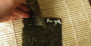 суши листья