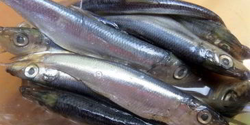 суши по-русски