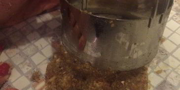 имбирные сэндвичи с кокосово-чайным мороженным