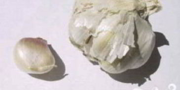 румяный сэндвич с помидором