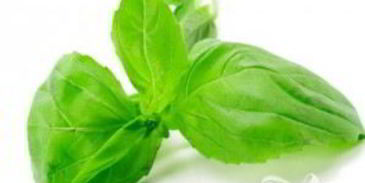 румяный сэндвич с помидором