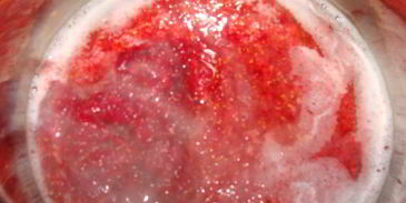 сырные шарики с начинкой в ореховой панировке под пьяной клюквой