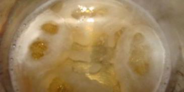 сырные шарики с начинкой в ореховой панировке под пьяной клюквой