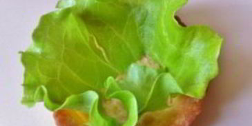 тарталетки праздничные