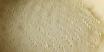 лимонный тарт