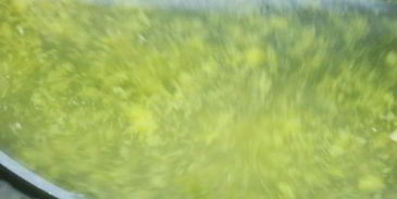 лимонный тарт