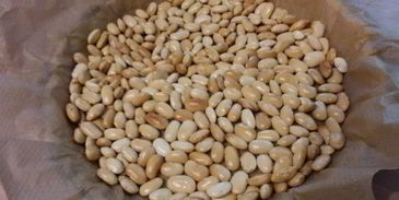 сливовый тарт с фисташковым штрейзелем