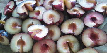 сливовый тарт с маковой начинкой