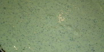 сырно-творожный тарт с весенней зеленью