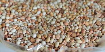 тарт черника-лаванда