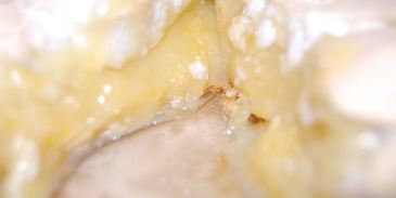 тарт лимонное безумие под безе