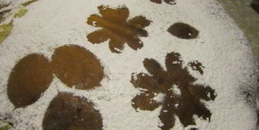 тарт с карамелизированными фруктами и творожным пудингом