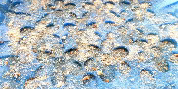 яблочно-грушевый тарт татен