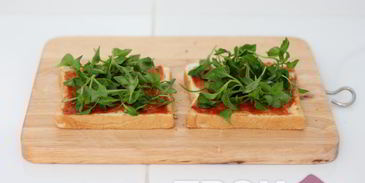 тосты с креветками