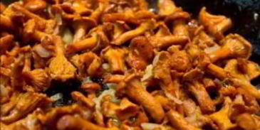 яичница с лисичками