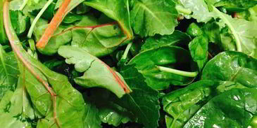 яичница с овощами и капустой кале