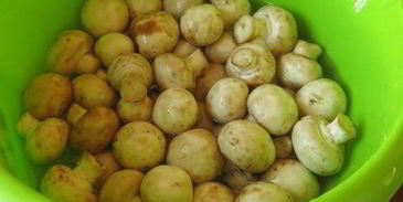 грибное заливное постное